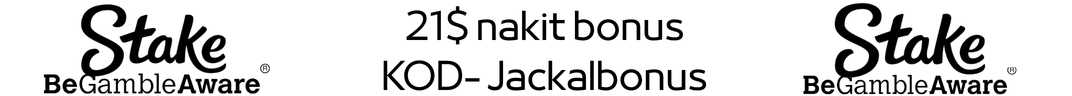 Bottom Banner